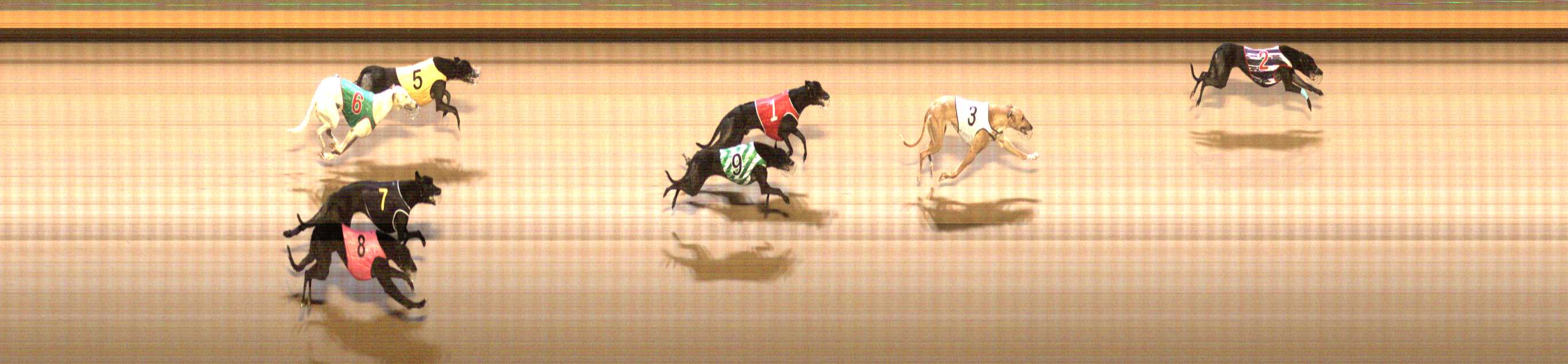 Photo finish for Shepparton Race 8