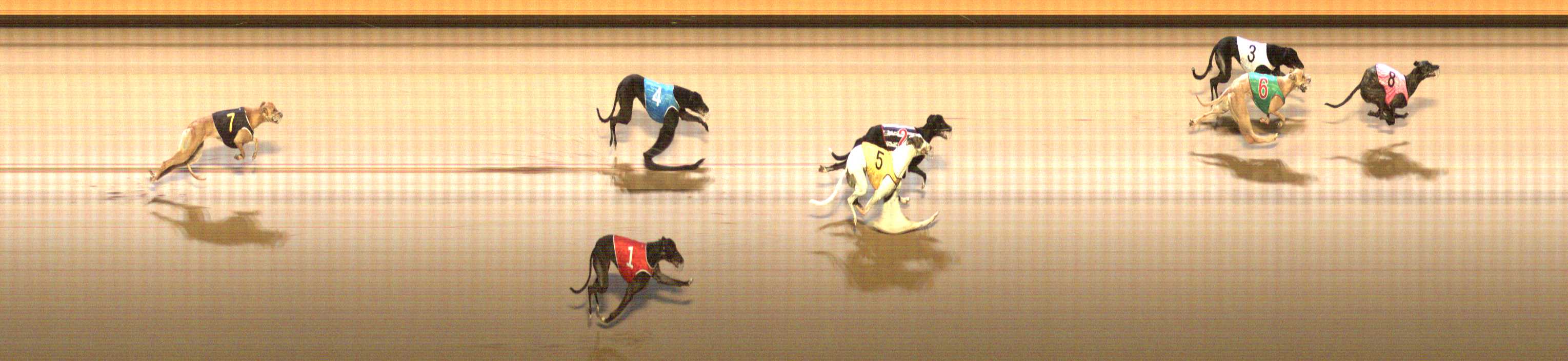 Photo finish for Shepparton Race 9