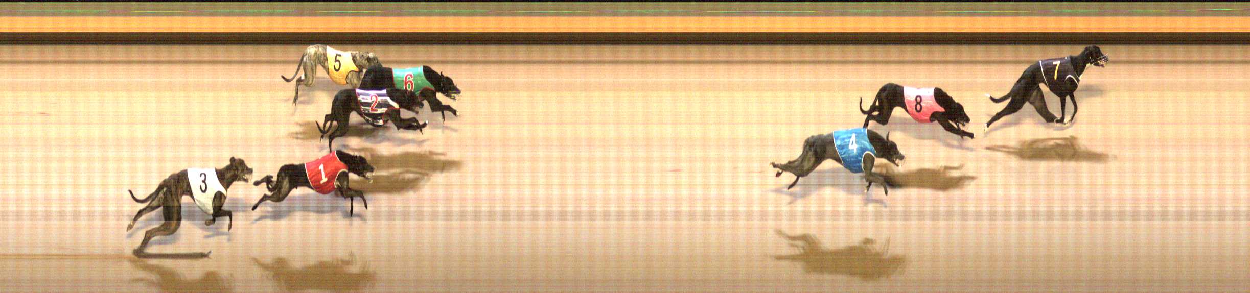 Photo finish for Shepparton Race 10
