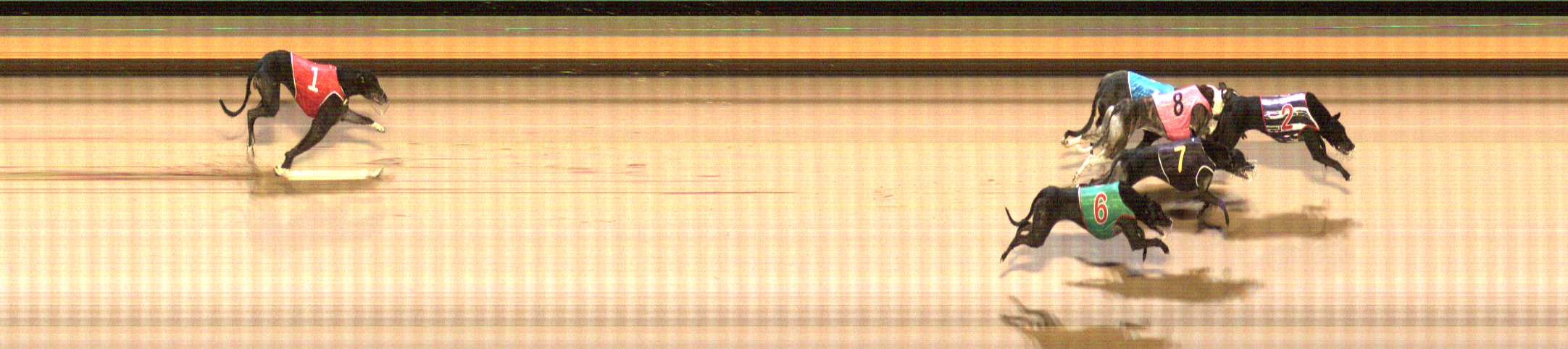 Photo finish for Shepparton Race 11