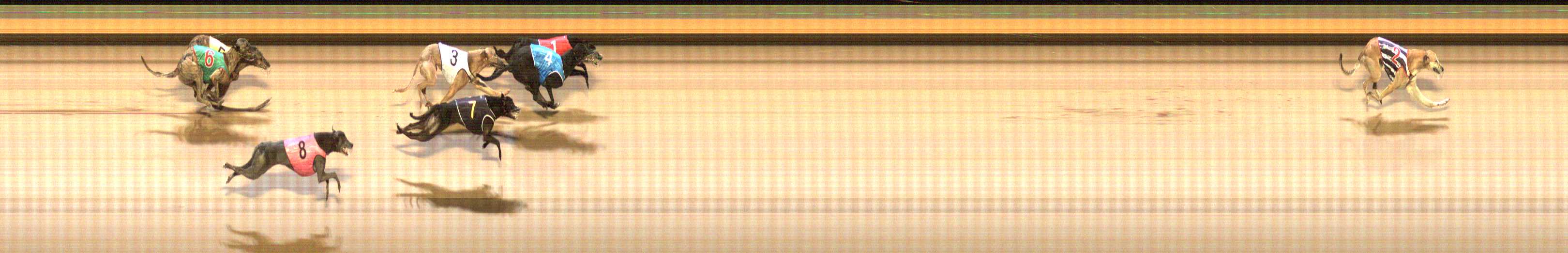 Photo finish for Shepparton Race 12