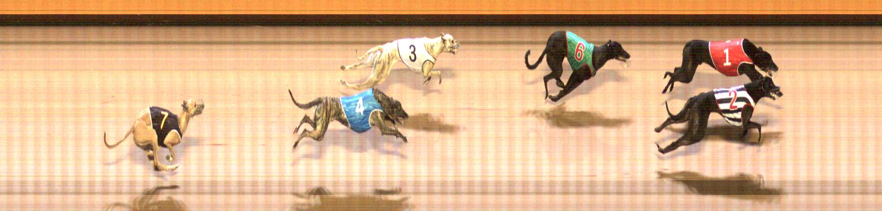 Photo finish for Shepparton Race 2