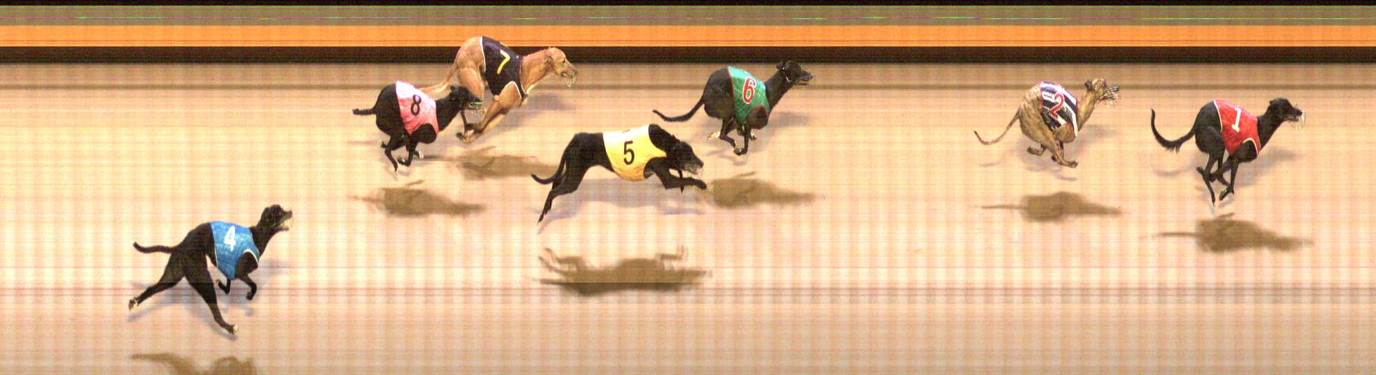 Photo finish for Shepparton Race 3