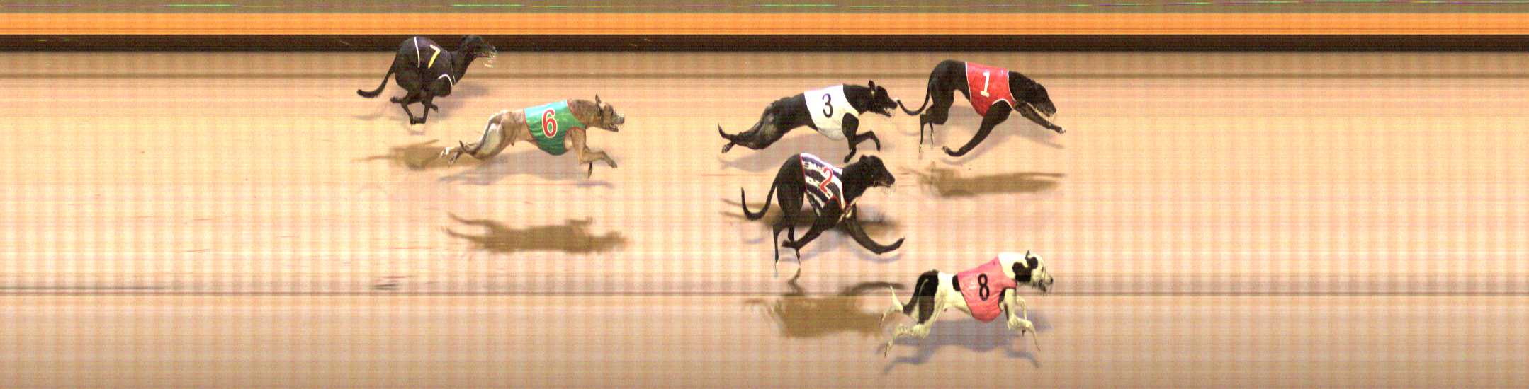Photo finish for Shepparton Race 4