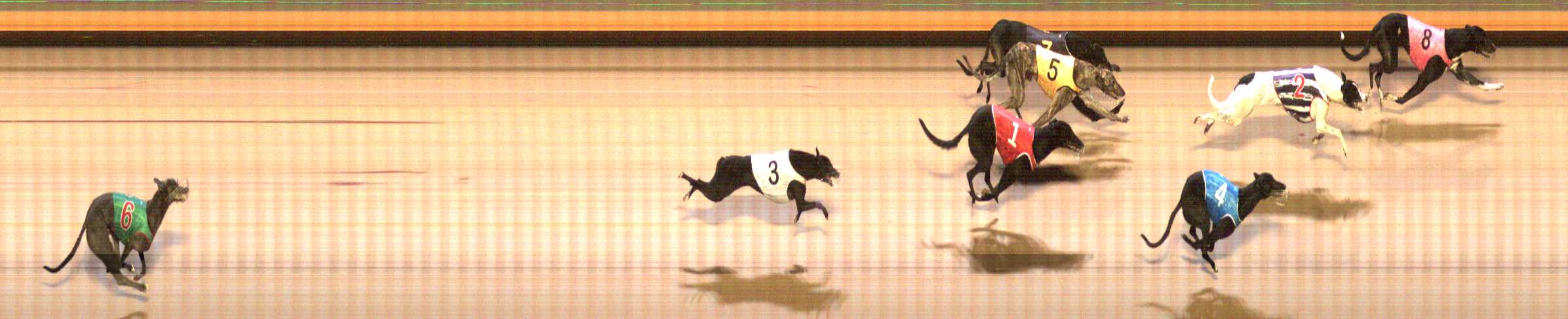Photo finish for Shepparton Race 5