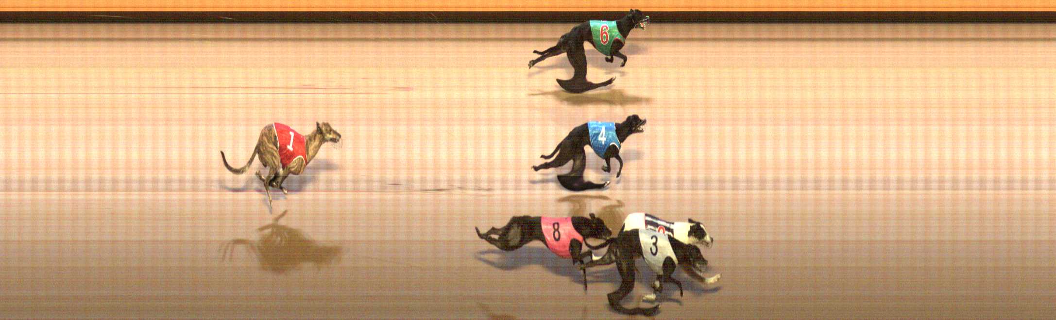 Photo finish for Shepparton Race 7