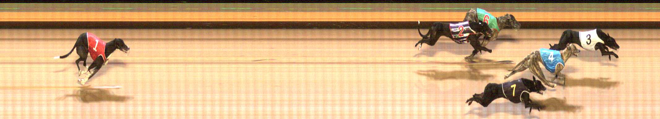 Photo finish for Shepparton Race 10