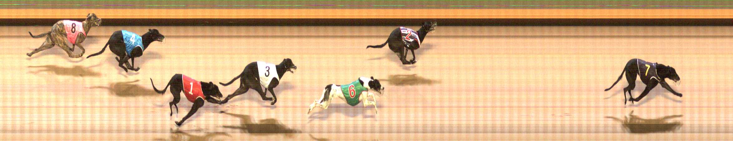 Photo finish for Shepparton Race 11