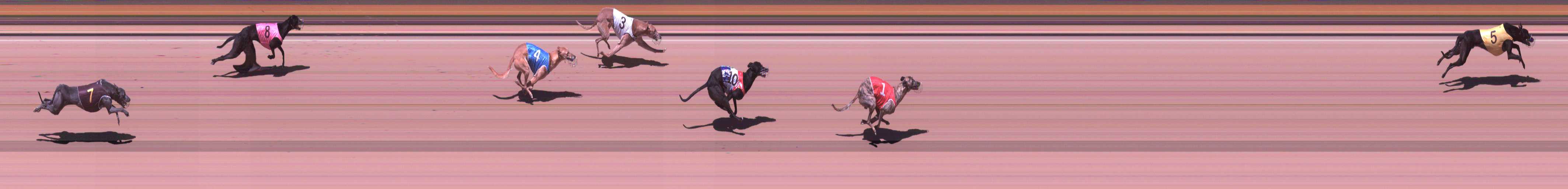 Photo finish for Shepparton Race 6