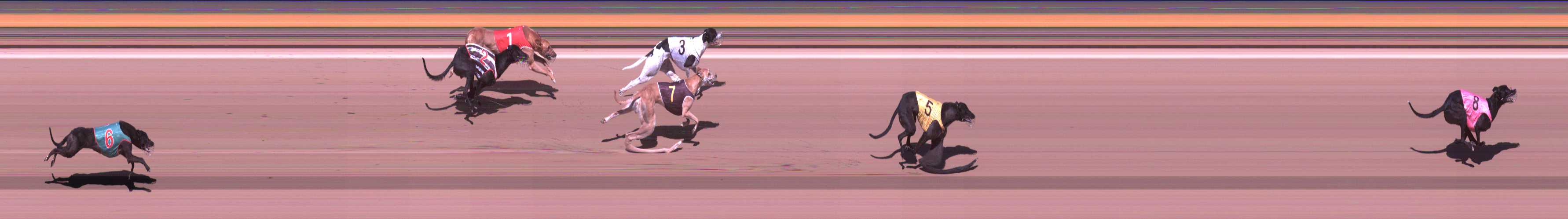 Photo finish for Shepparton Race 9