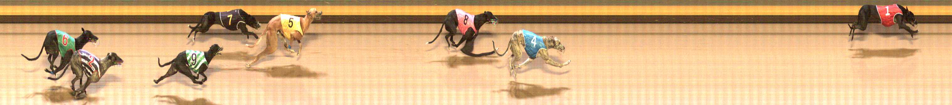 Photo finish for Shepparton Race 10
