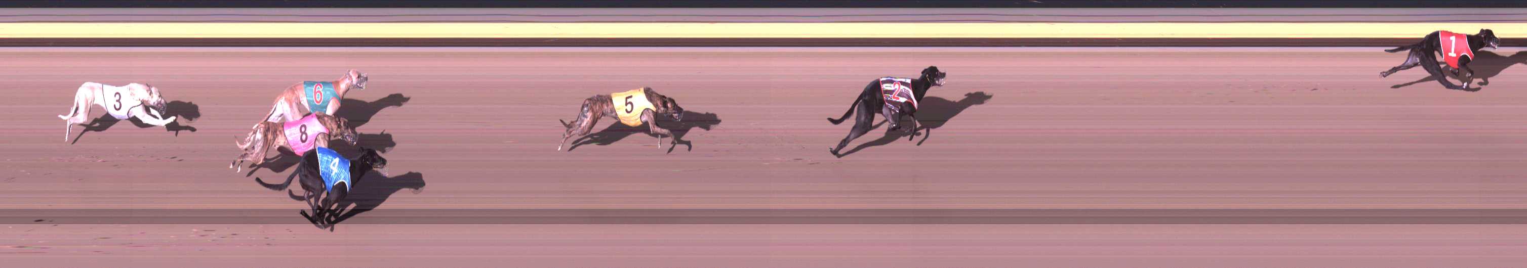 Photo finish for Shepparton Race 2