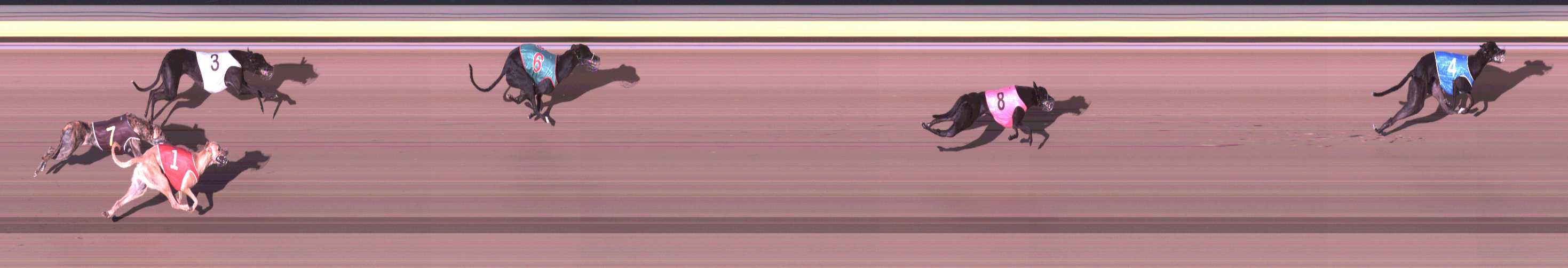Photo finish for Shepparton Race 3
