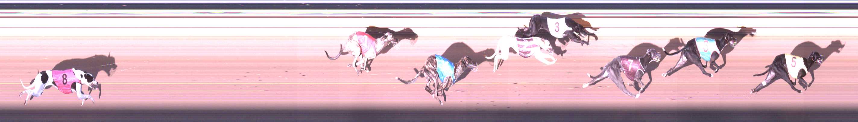 Photo finish for Shepparton Race 5