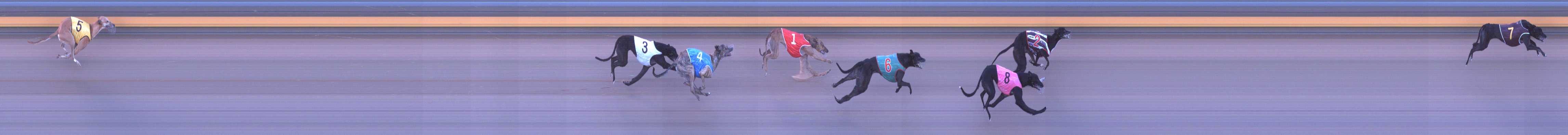 Photo finish for Shepparton Race 6