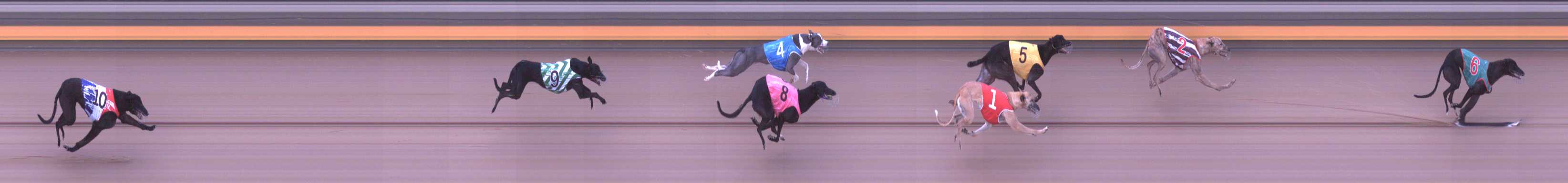Photo finish for Shepparton Race 7