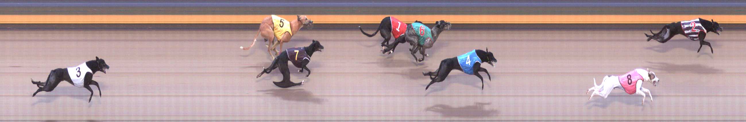 Photo finish for Shepparton Race 10