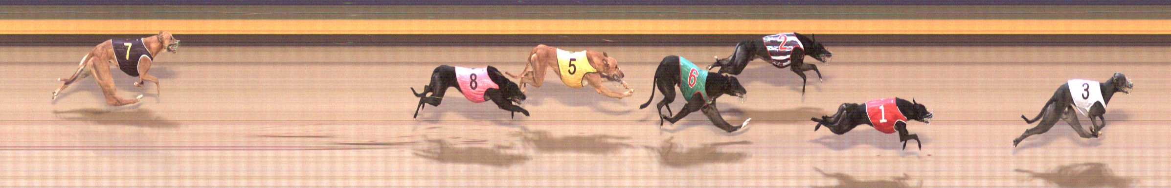 Photo finish for Shepparton Race 11