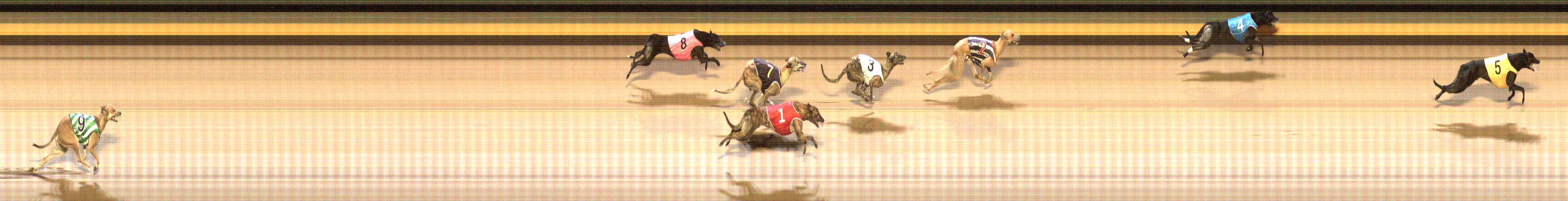 Photo finish for Shepparton Race 12