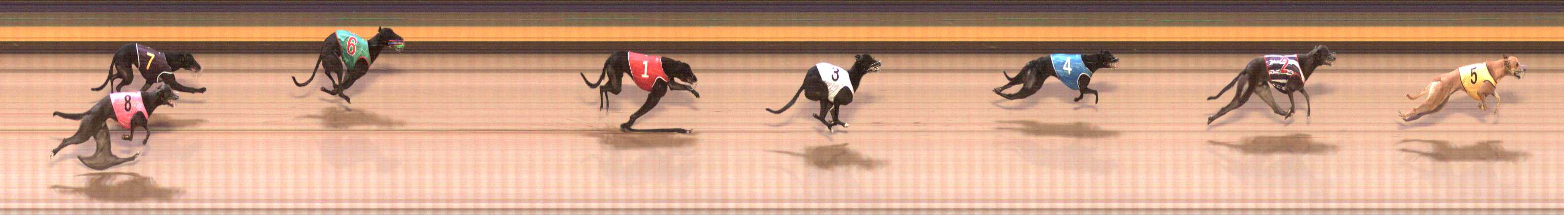 Photo finish for Shepparton Race 2