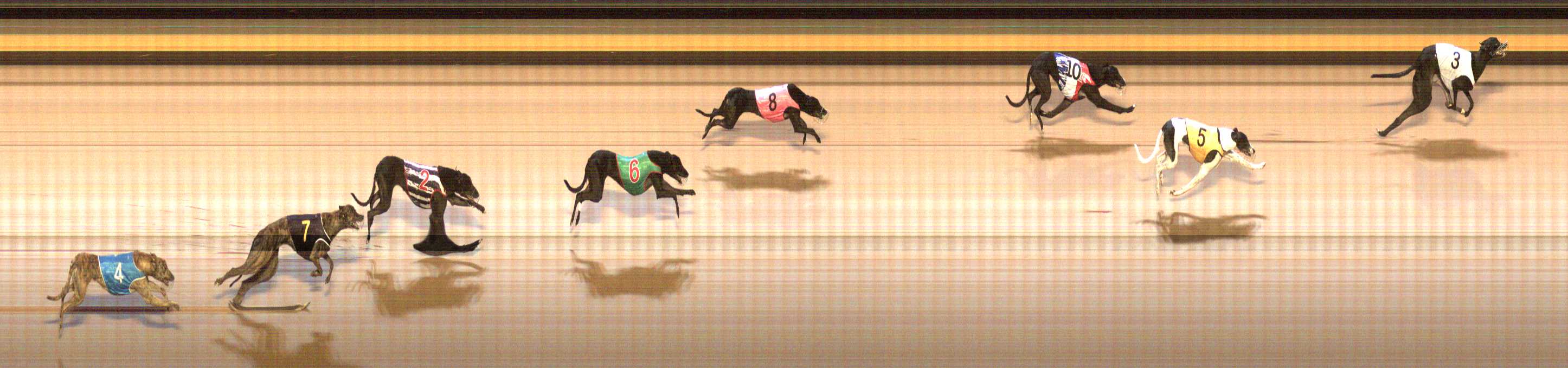 Photo finish for Shepparton Race 3