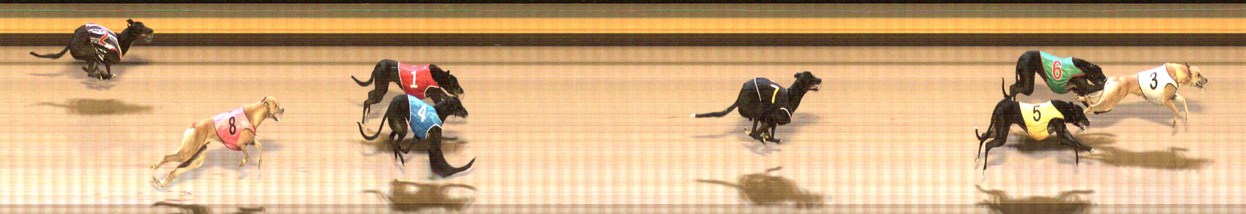 Photo finish for Shepparton Race 4