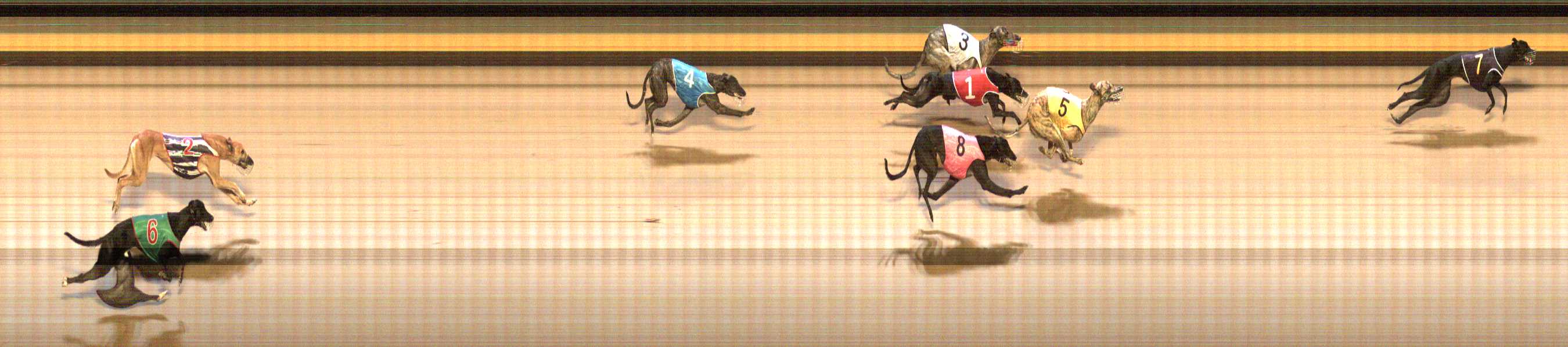 Photo finish for Shepparton Race 5