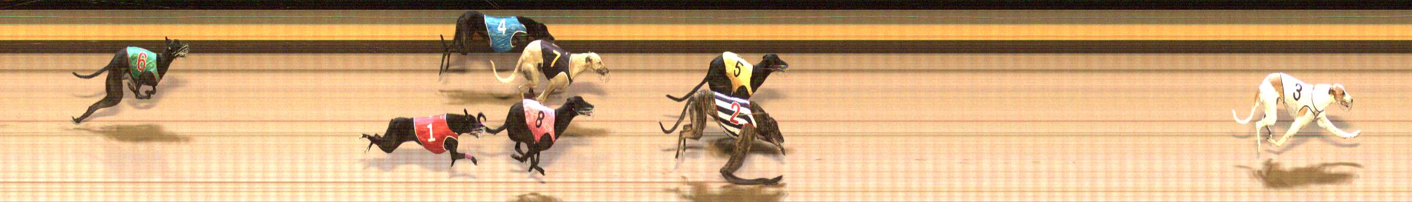 Photo finish for Shepparton Race 7