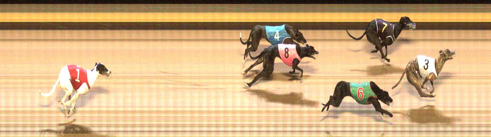 Photo finish for Shepparton Race 8