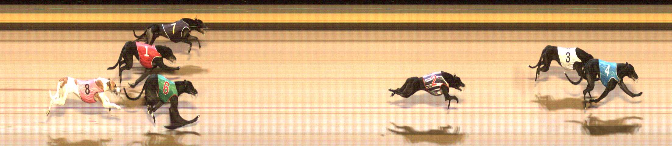 Photo finish for Shepparton Race 9