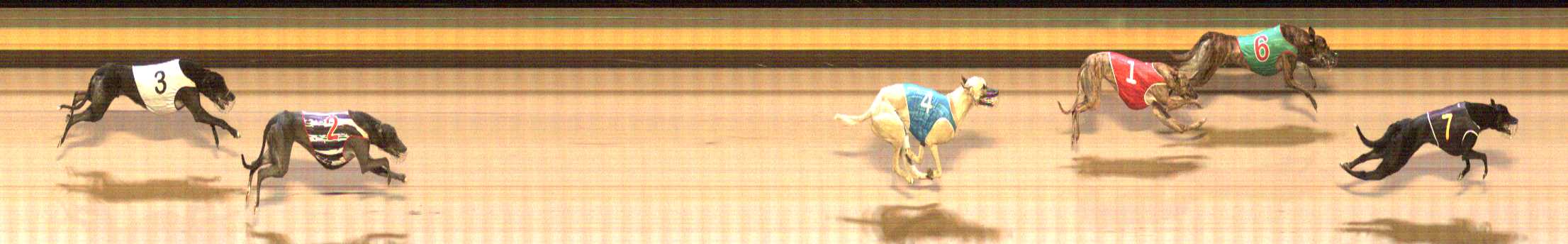 Photo finish for Shepparton Race 11