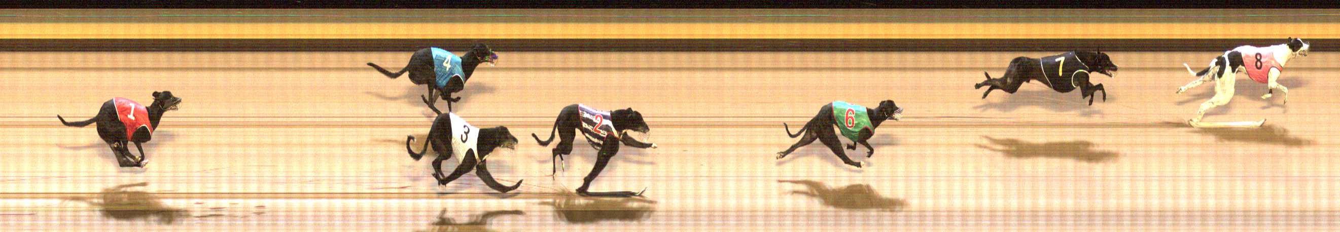 Photo finish for Shepparton Race 12