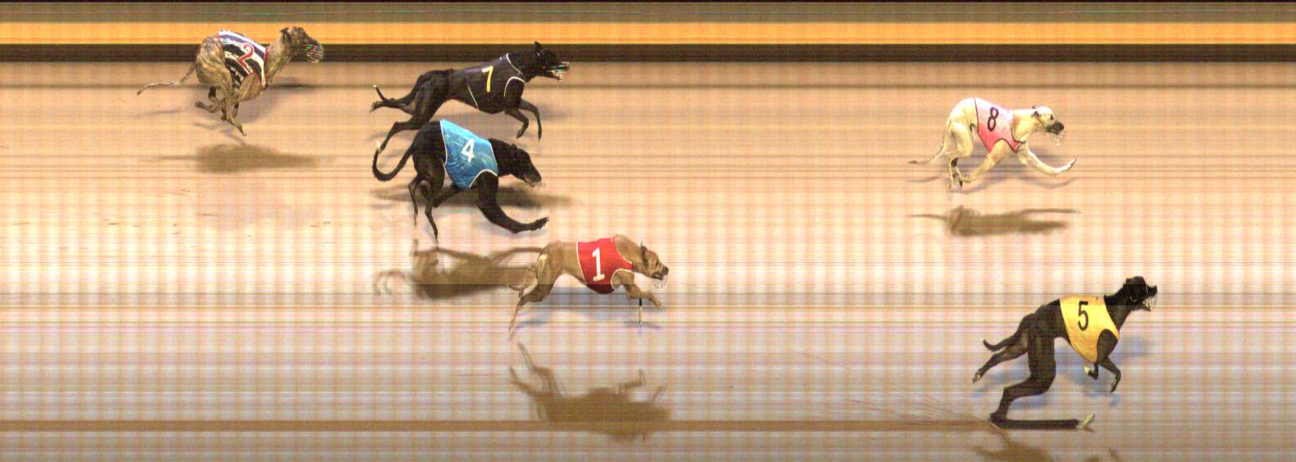 Photo finish for Shepparton Race 2