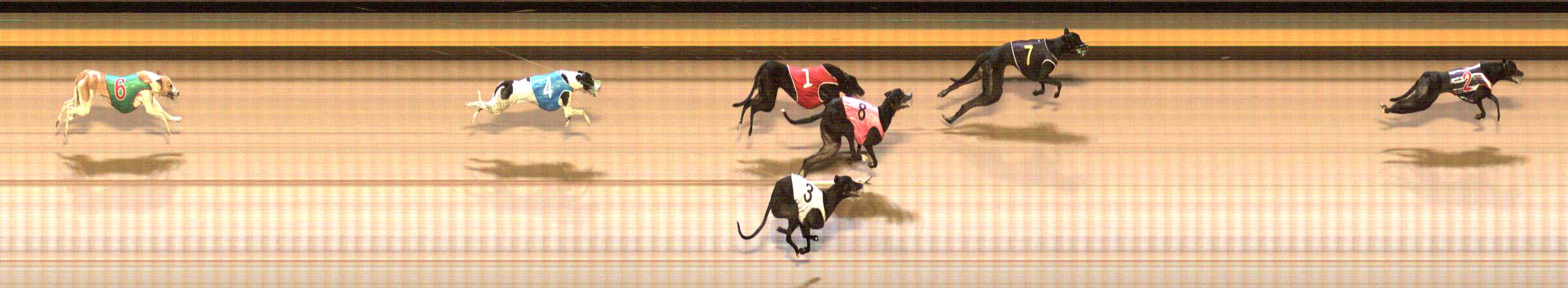 Photo finish for Shepparton Race 3