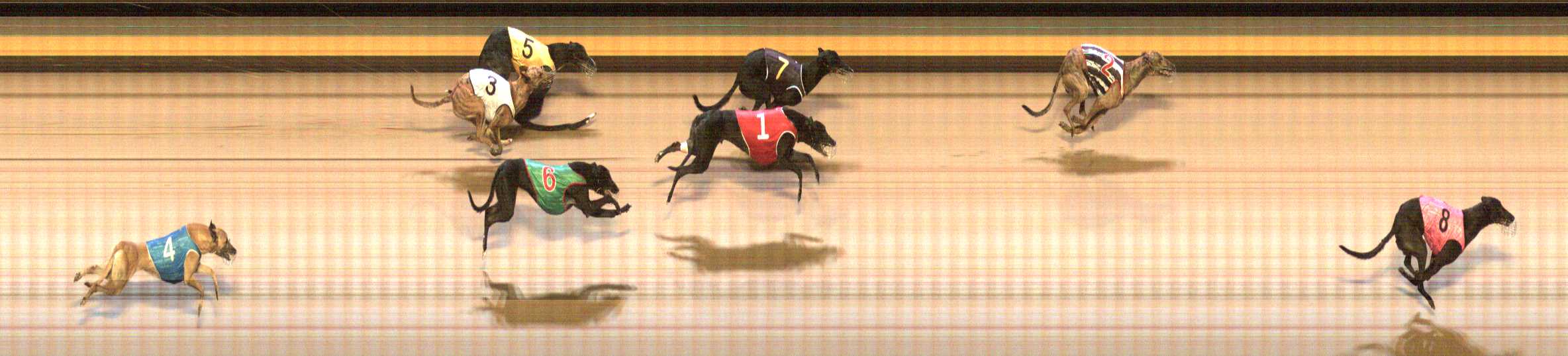 Photo finish for Shepparton Race 6