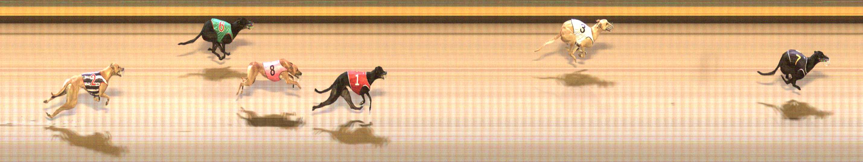 Photo finish for Shepparton Race 7