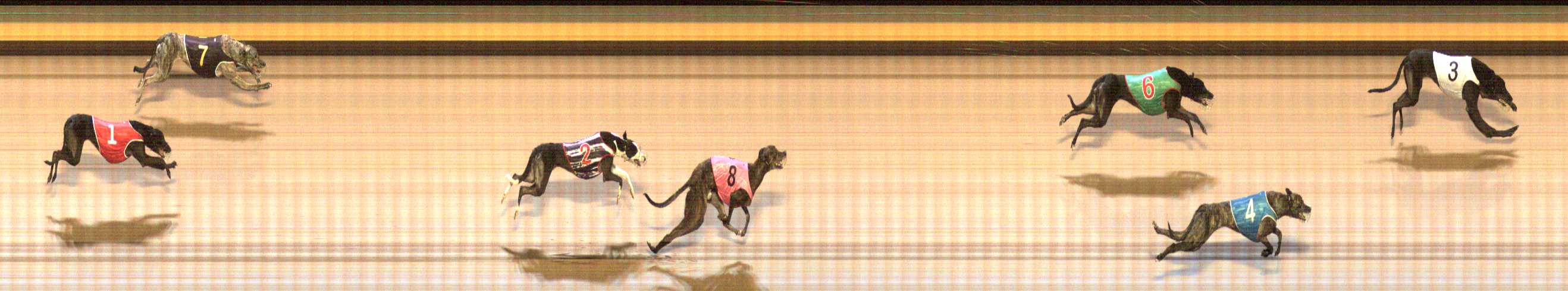 Photo finish for Shepparton Race 11