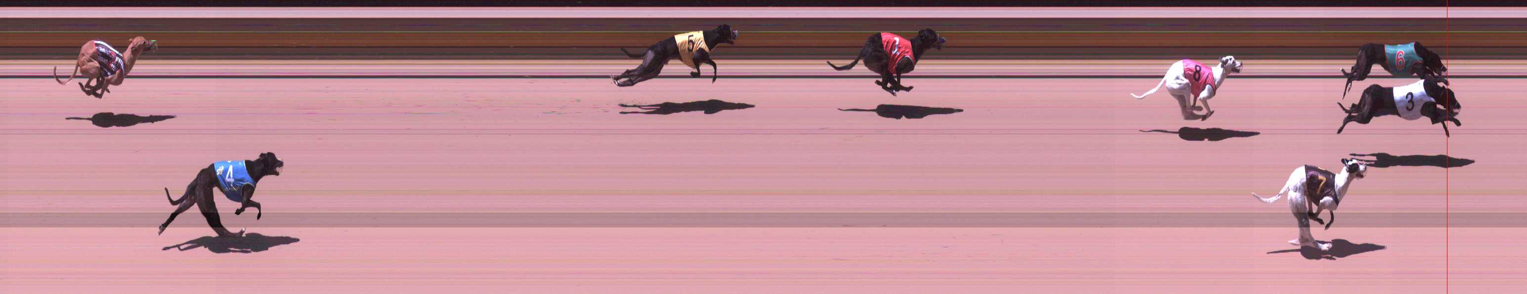 Photo finish for Shepparton Race 6