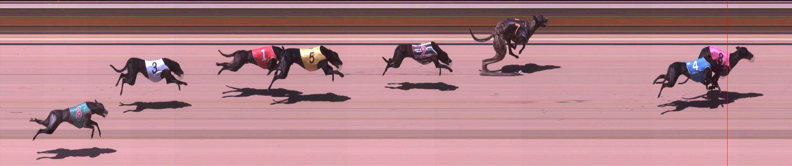 Photo finish for Shepparton Race 7