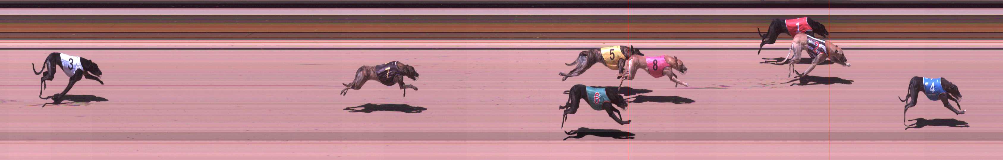 Photo finish for Shepparton Race 8