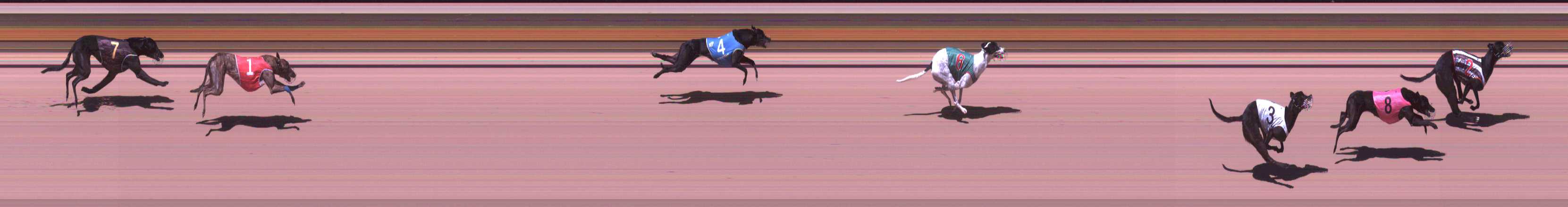 Photo finish for Shepparton Race 9