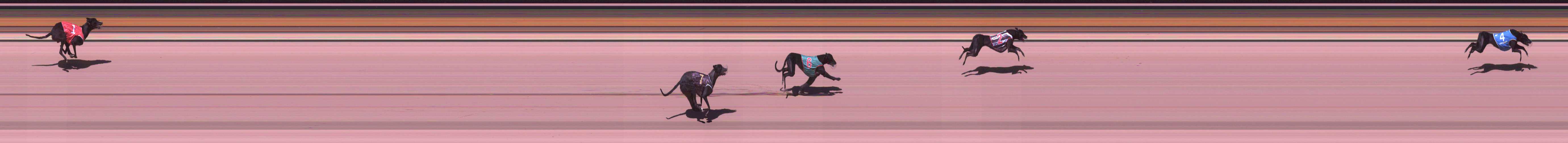 Photo finish for Shepparton Race 10