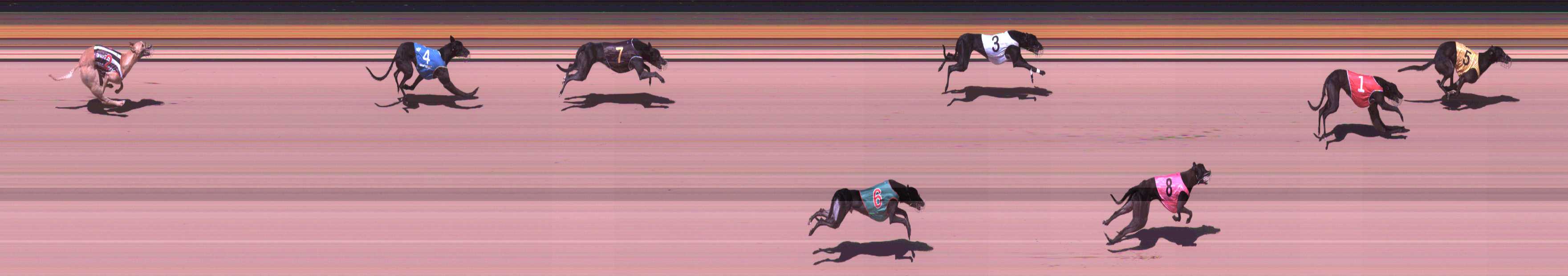 Photo finish for Shepparton Race 11