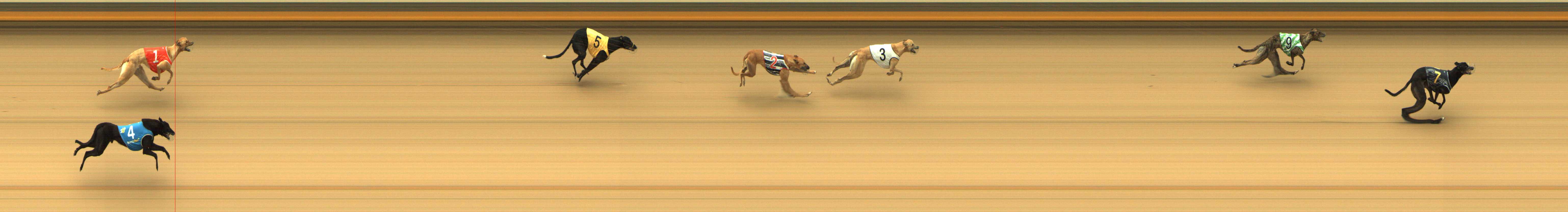 Photo finish for Shepparton Race 1