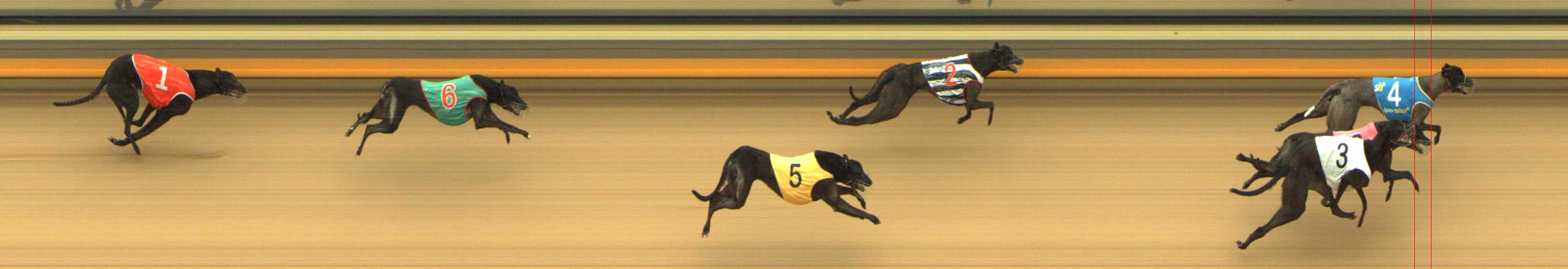 Photo finish for Shepparton Race 2