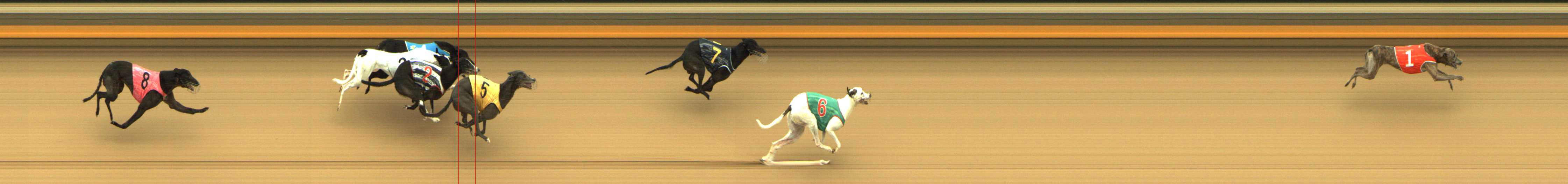 Photo finish for Shepparton Race 3