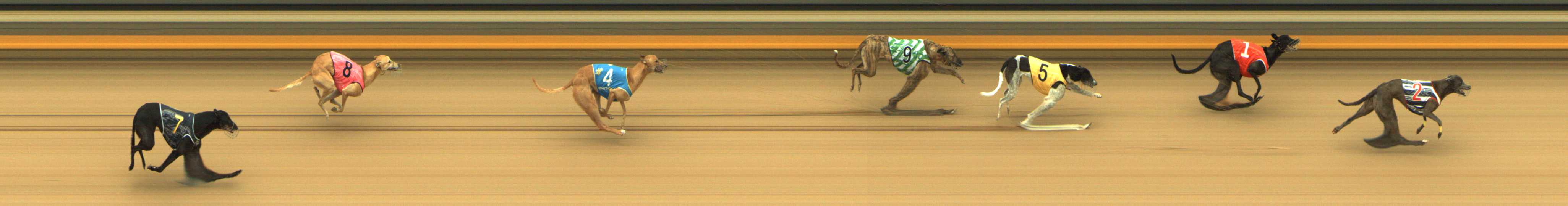 Photo finish for Shepparton Race 4