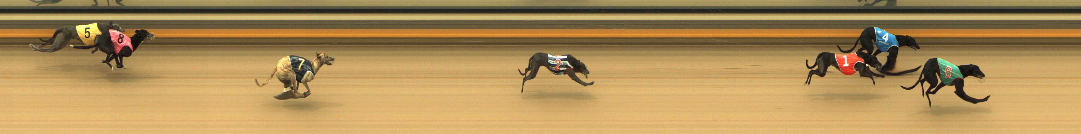 Photo finish for Shepparton Race 5