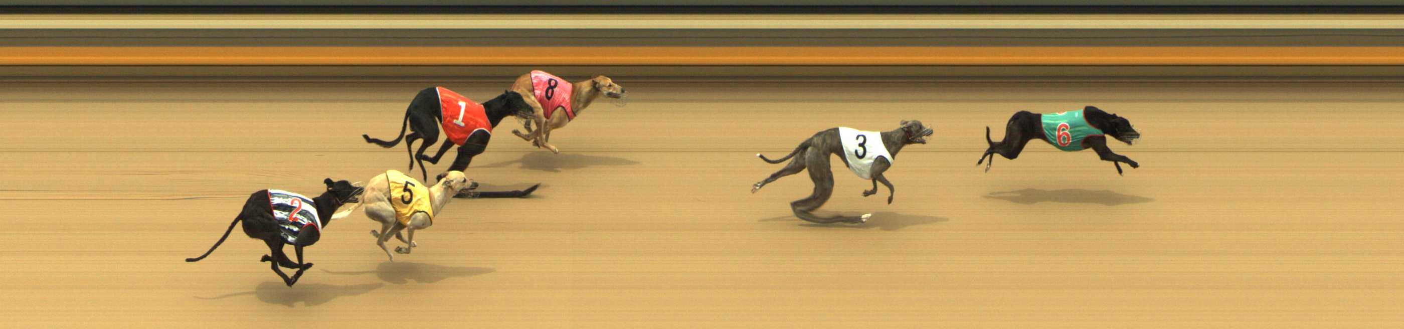 Photo finish for Shepparton Race 6