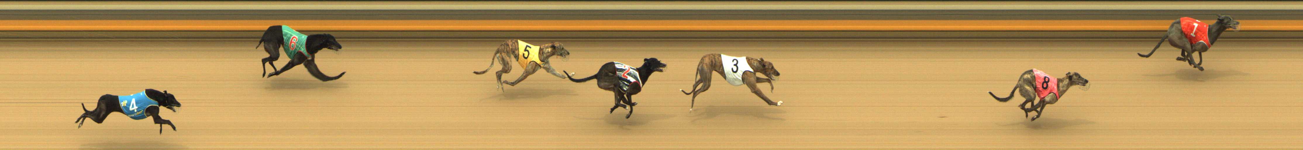 Photo finish for Shepparton Race 7